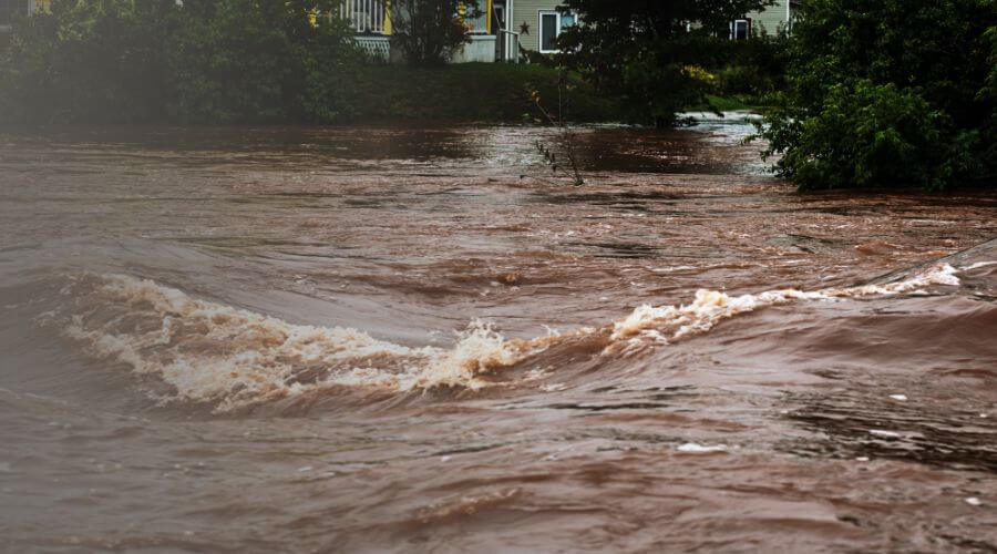 Why choose TotalShield Property Recovery for water damage restoration in London